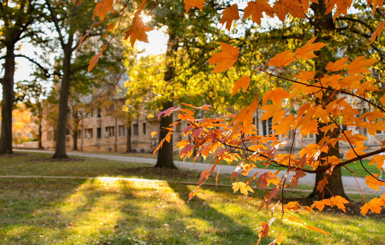 Give Green and Gold Day 2024 set for Sept. 25